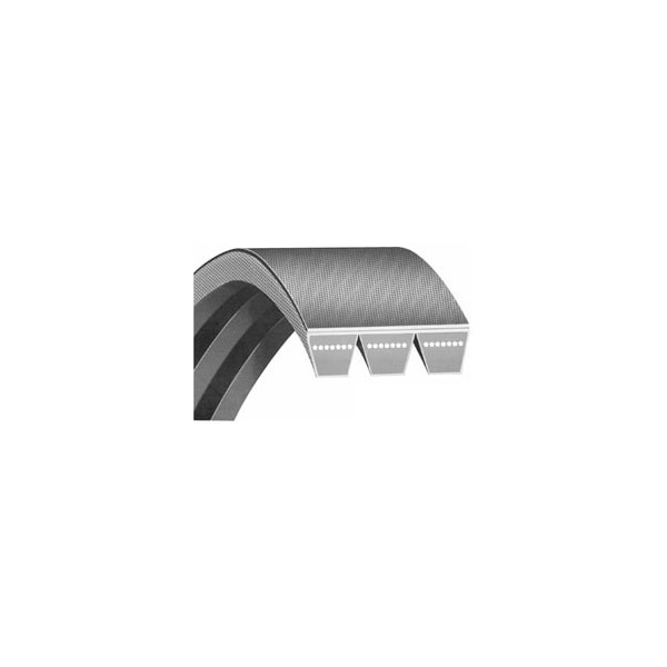 D-Section Banded Belt (1 1/4" x 230")